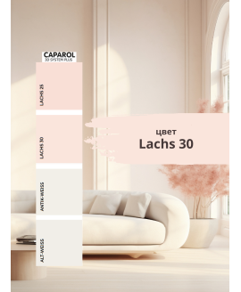 Краска цветная интерьерная база С