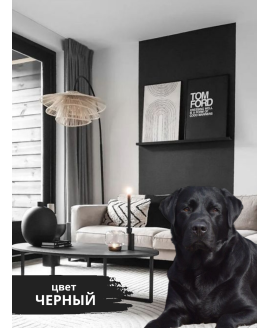 Краска цветная интерьерная база С